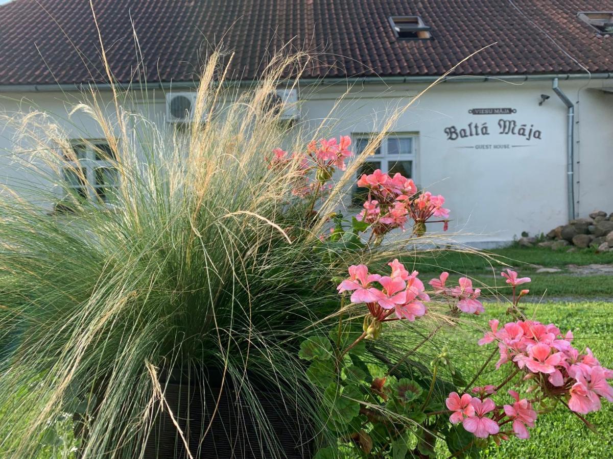 Hotel Balta Maja Pilsrundāle Esterno foto